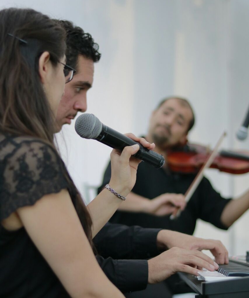 Cantante y violinista